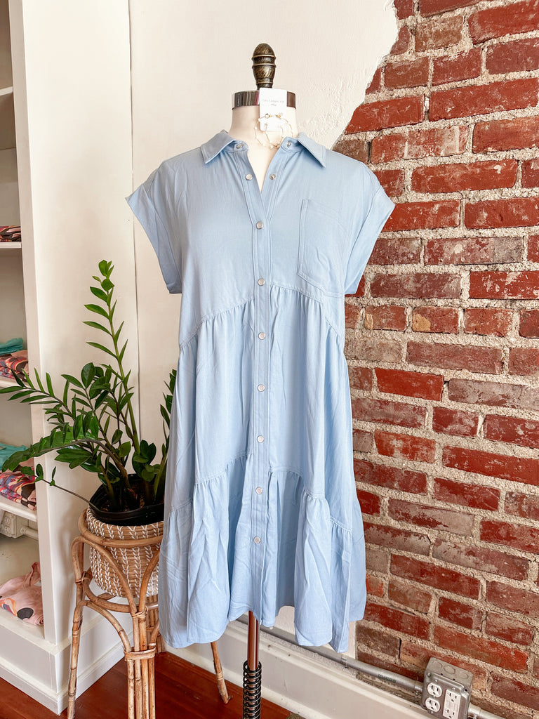 Blair denim dress hotsell