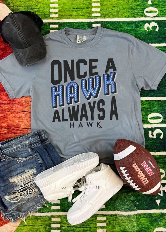 Once a Hawk Always a Hawk T-Shirt - Grey-T-Shirt-Carolyn Jane's Jewelry